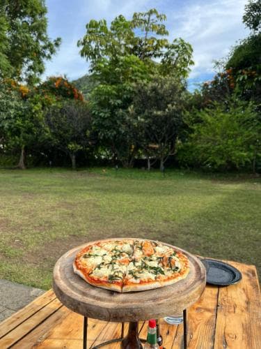 A freshly baked pizza sits invitingly on a rustic wooden table in a serene garden setting, perfect for a relaxing outdoor dining experience amidst lush greenery and distant hills.