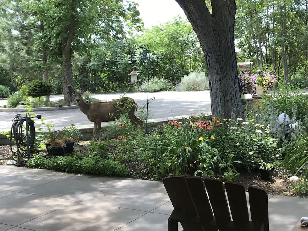 Boise Hillside Suites
