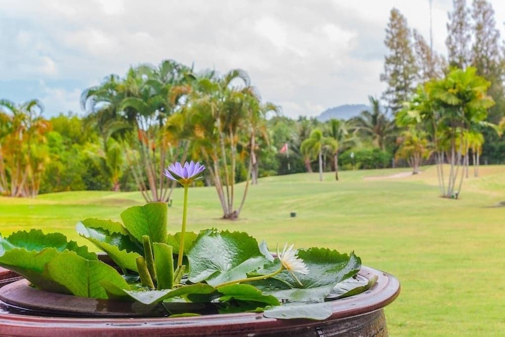 Grove Gardens Phuket