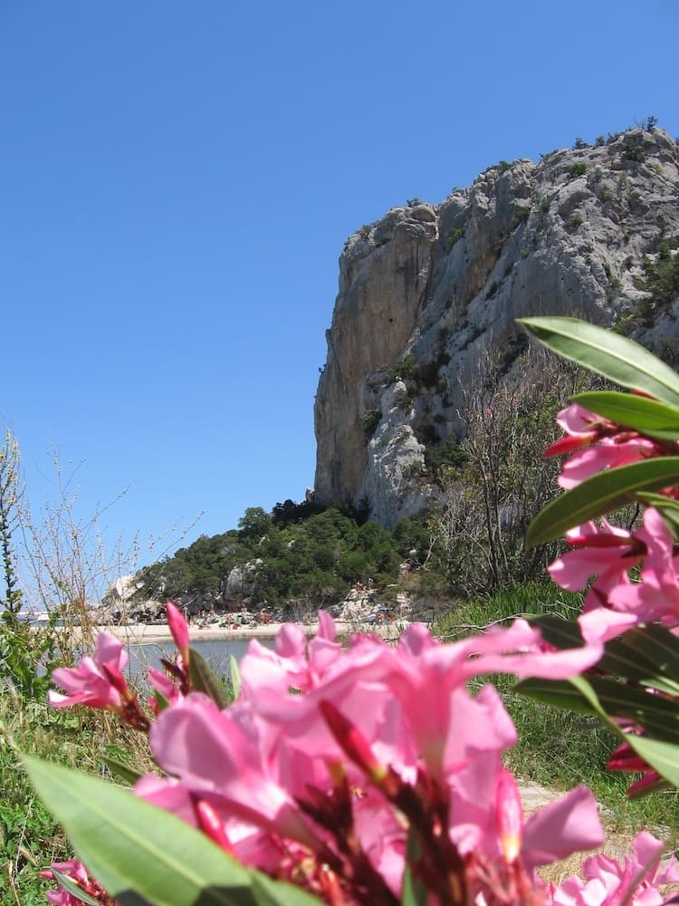 Hotel Giardino Corte Rubja