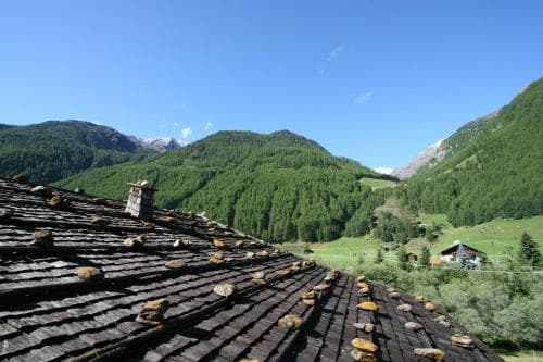 Rainhof