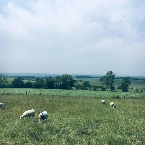 Foxhill Barn B&B