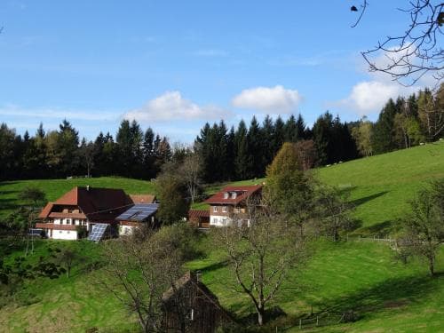 A serene rural landscape features quaint houses with solar panels nestled among lush green fields and dense forests under a bright blue sky, ideal for eco-friendly countryside retreats.