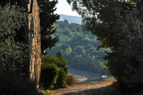 Villa Il Leccio