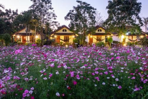 A serene evening scene features a vibrant field of cosmos flowers in front of warmly lit wooden cottages nestled among lush trees, ideal for travelers seeking a tranquil countryside retreat.