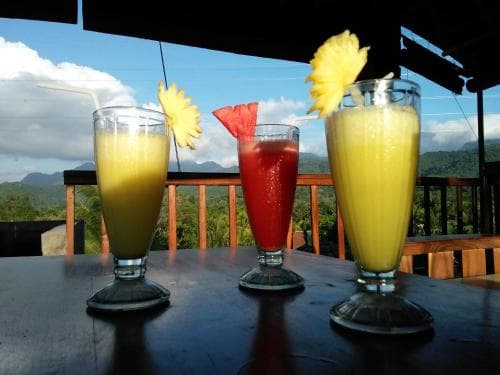 Menjangan View