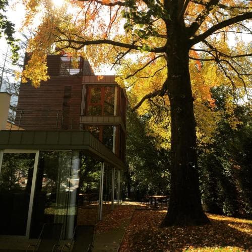 Casa sull Albero