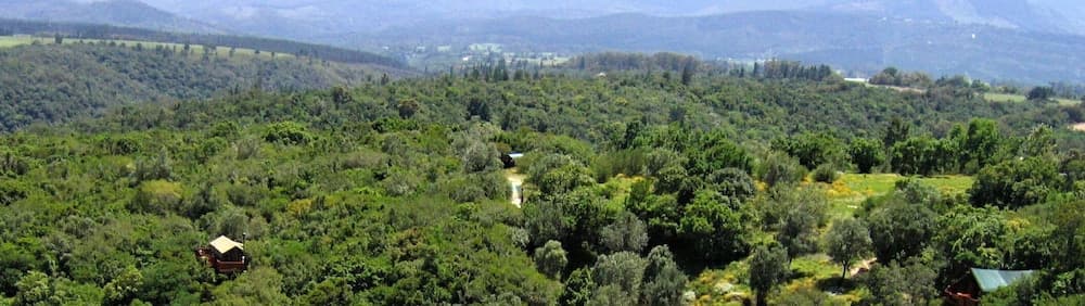 Teniqua Treetops