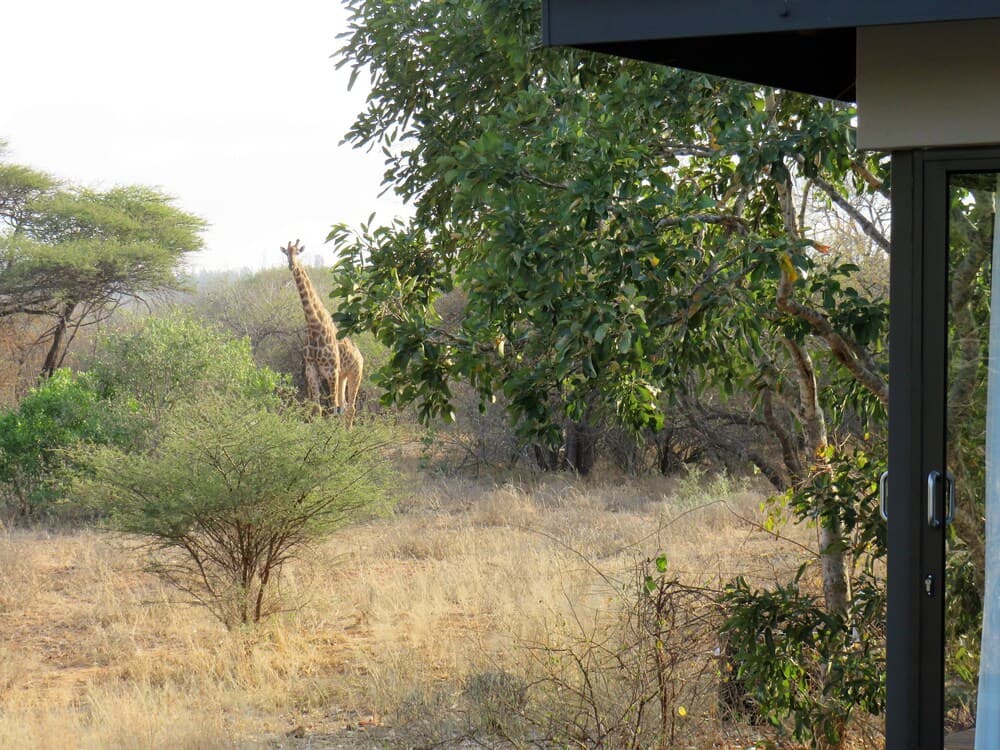 Lowveld Escape