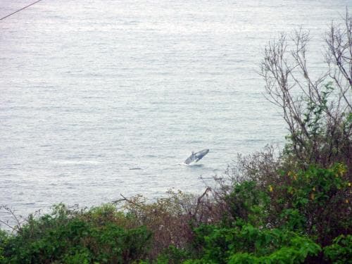 La Rinco Ecuador