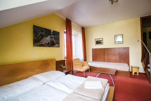 Hotel Mlynky