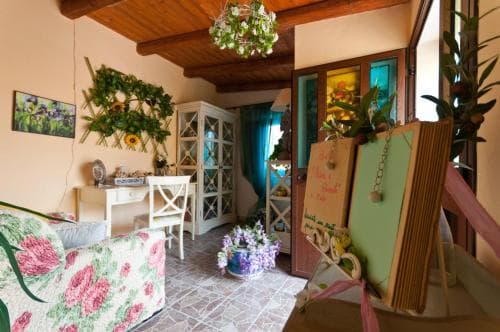 Fiori e Coccole