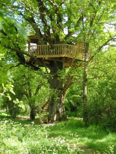Cabane De La Bernardière