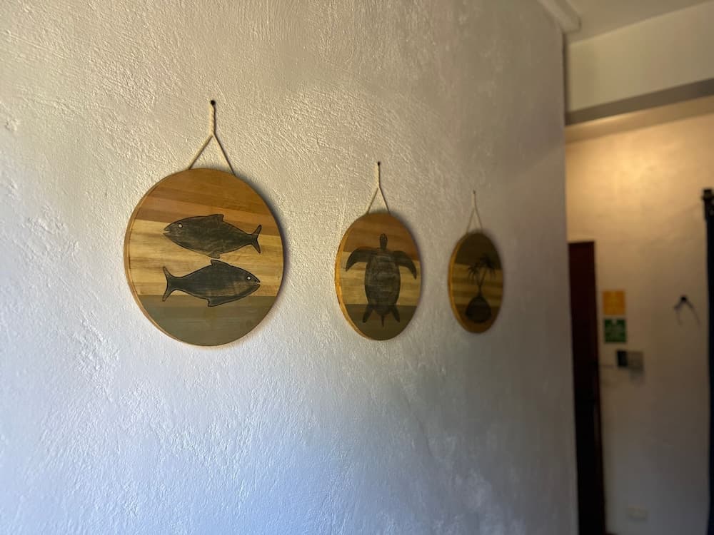 Island Lyfe Adventures Hotel