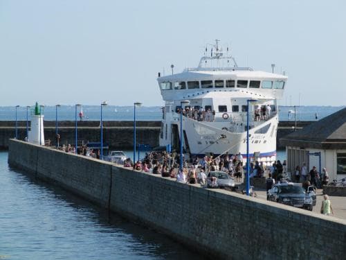 Albatros