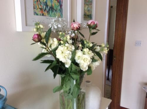 Hollymount House B&B