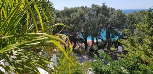 Diogenis Parga Studios