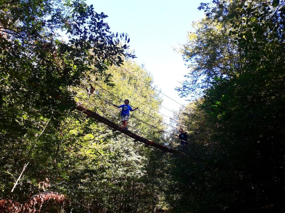 Cabanes Du Bois Clair