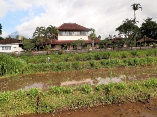 Pandan House
