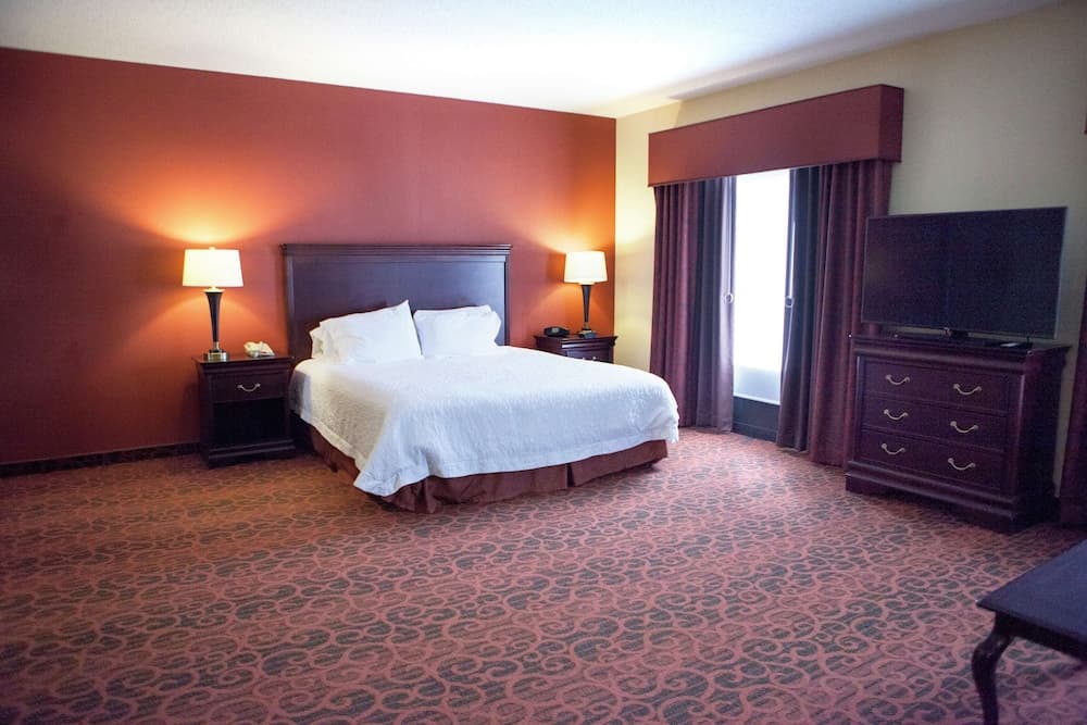 Hampton Inn Rochester Webster