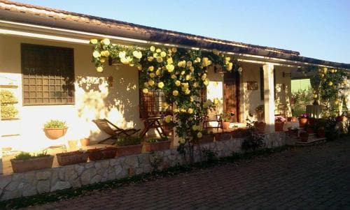B&B Rolu