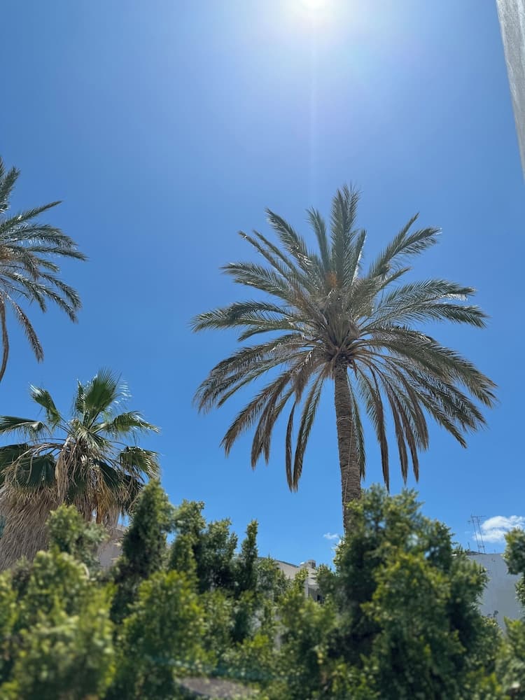 Hersonissos Blue