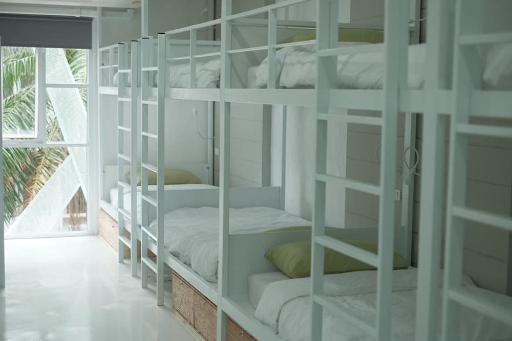 Rabbitat Hostel