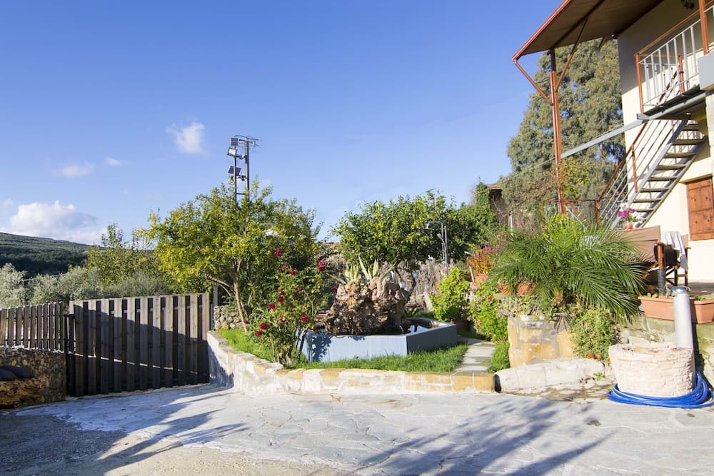 Villa Olive Tree