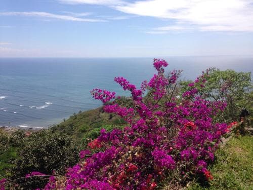 La Rinco Ecuador