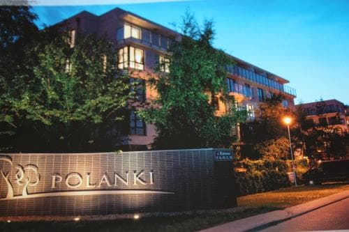 Polanki