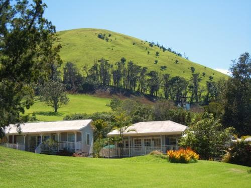 Jacaranda Inn