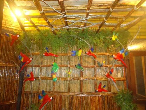A vibrant indoor aviary features colorful parrots perched on branches against a bamboo backdrop, creating an exotic and lively atmosphere ideal for nature-themed travel experiences.