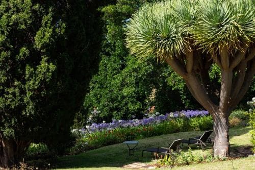 Quinta das Vinhas