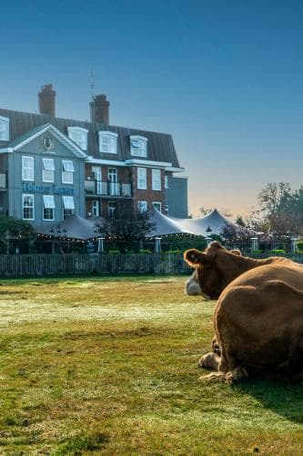 Balmer Lawn Hotel