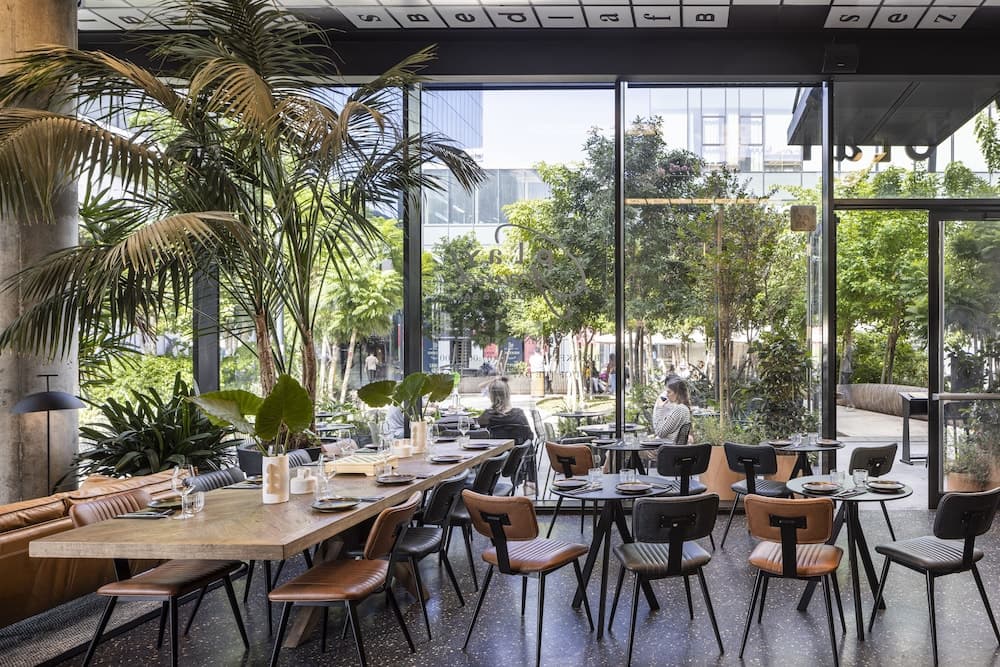 A modern, sunlit café with lush indoor plants and large windows offers a cozy atmosphere with stylish furniture, ideal for travelers seeking a relaxing spot to dine or work in an urban setting.