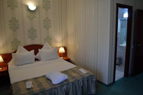 Hotel Rusu