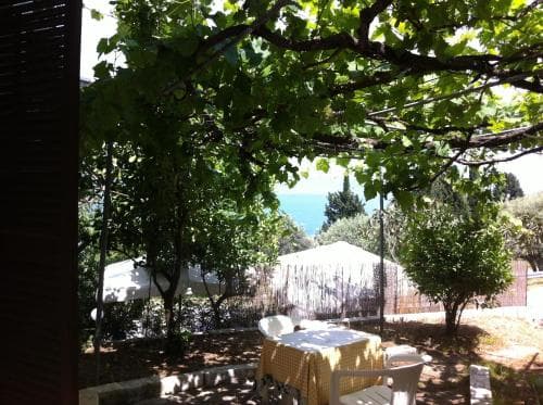 A serene coastal patio shaded by lush greenery offers a tranquil retreat with outdoor seating, ideal for relaxing vacations near the sea.