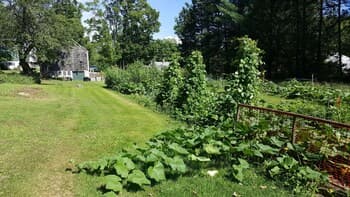 The Farmstand Bed & Breakfast