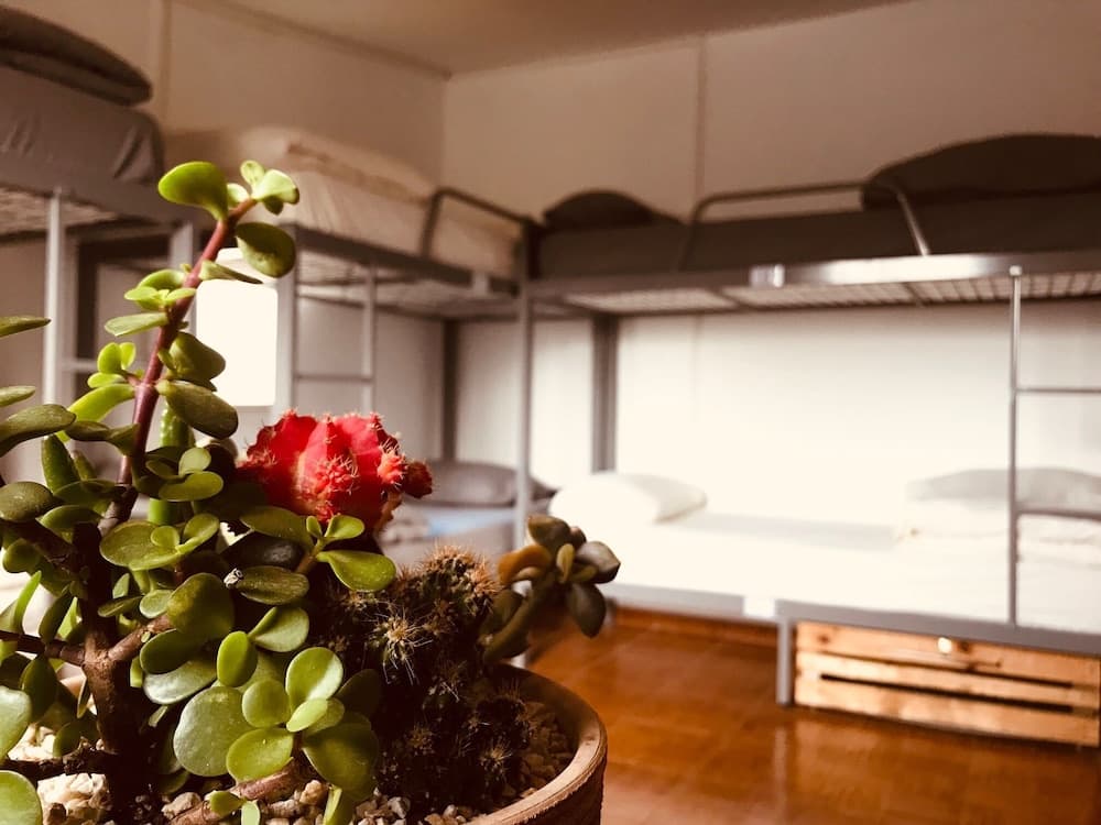 Al Yakhour Hostel