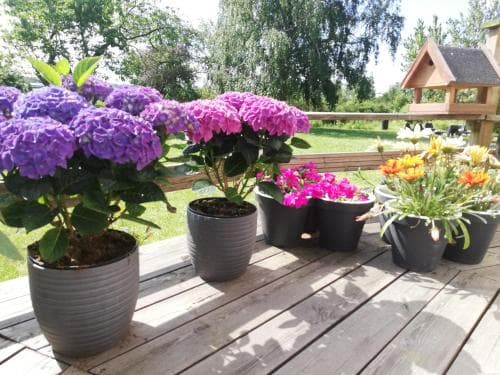 Rosengardens Bed & Breakfast