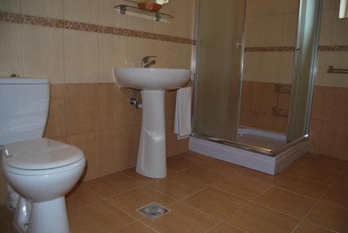Hostel Paltinis