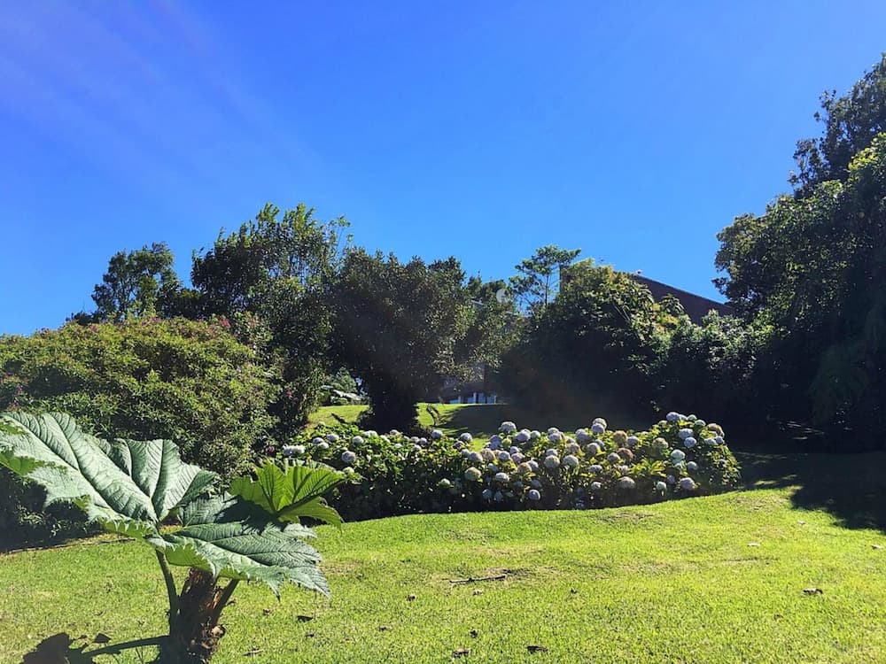 Poas Volcano Lodge