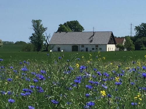 HotelBorrby