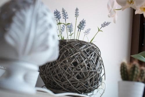 A cozy indoor setting features a rustic twig sphere vase holding delicate blue flowers, complemented by a white decorative object and a cactus, ideal for home decor enthusiasts seeking serene and natural aesthetics.