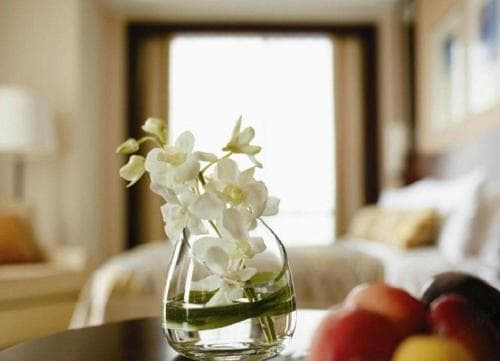 A serene hotel room ambiance is captured with a close-up of elegant white orchids in a glass vase on a table, complemented by fresh fruits, inviting travelers seeking comfort and luxury.