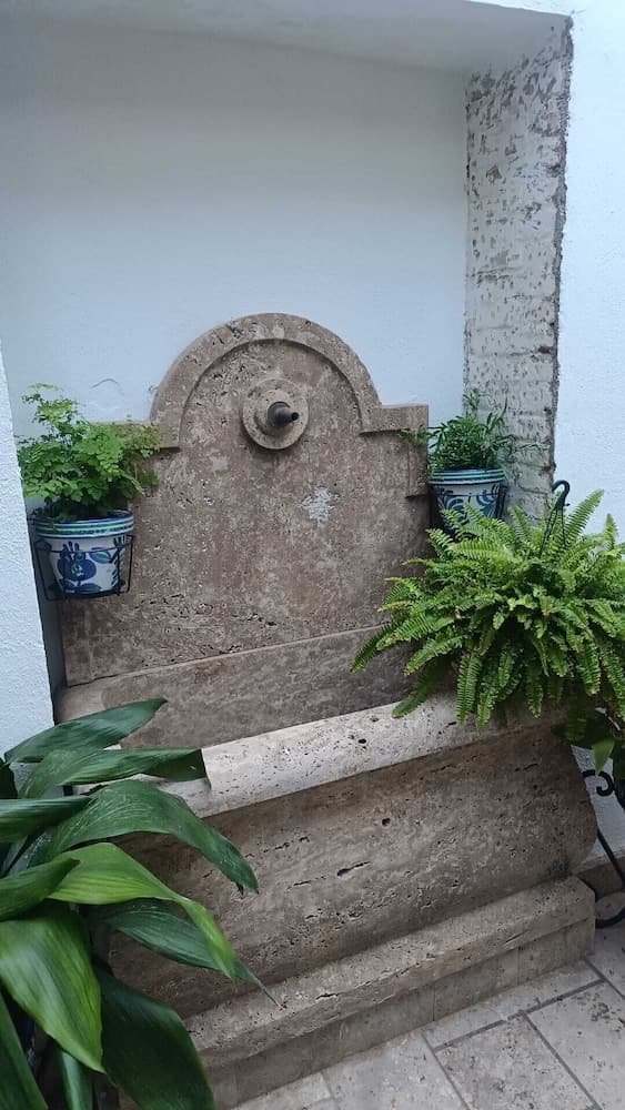 Rosa De Comares