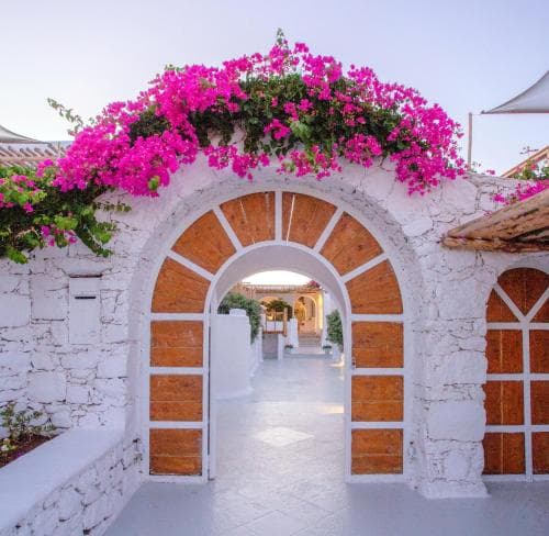 Apsenti couples only Mykonos