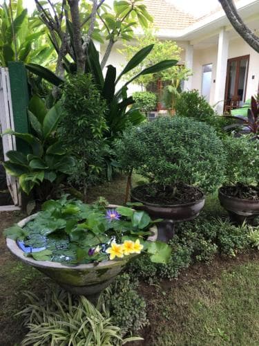 Kubu Green