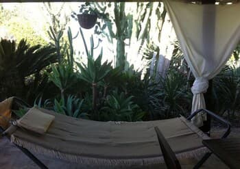 Luxury Suite