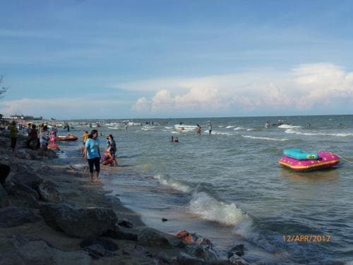 Thai Paradise South 255/2